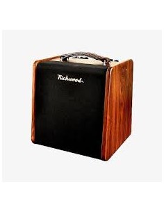 Ampli électro-acoustique...